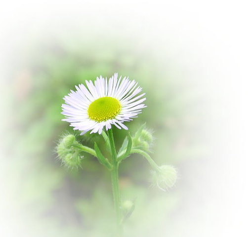 �ɉ�E�ҁ�