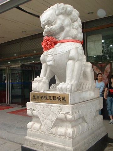 My Beijing Life