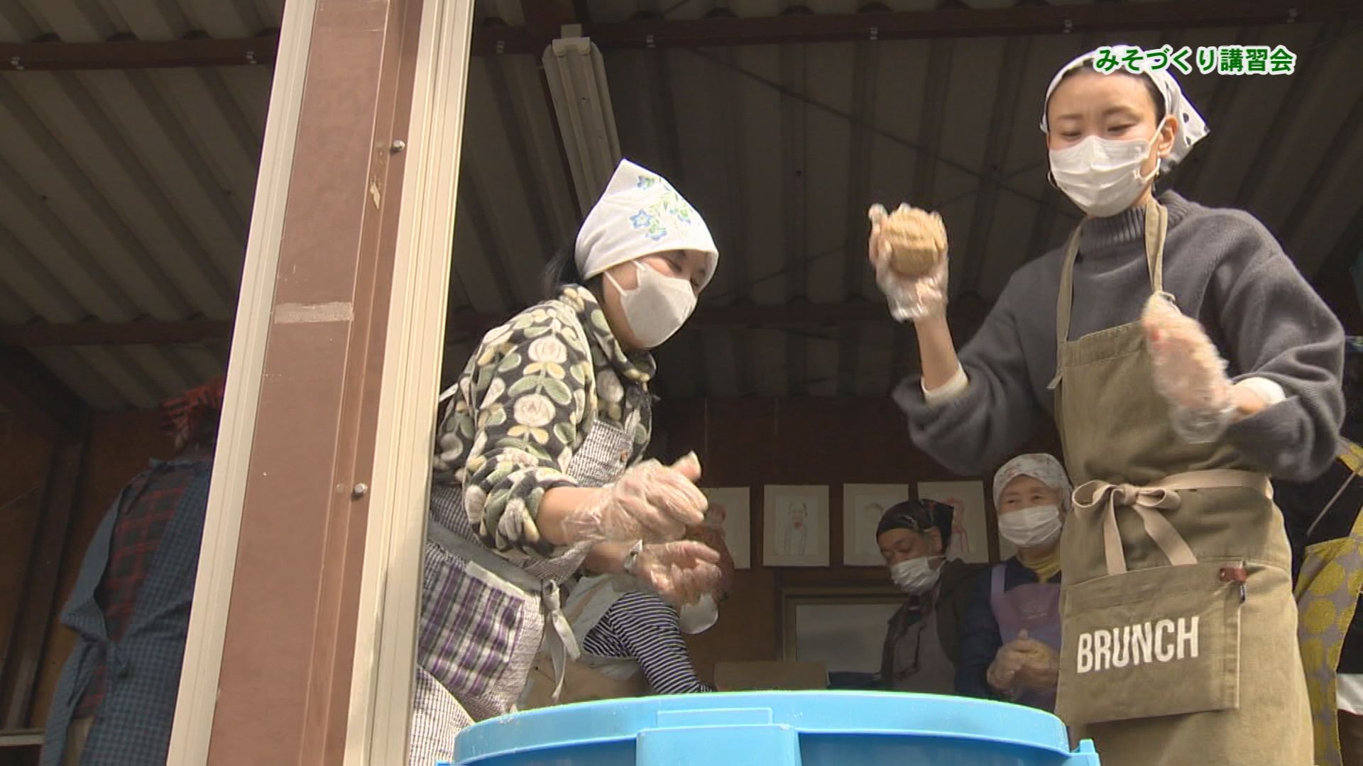 3��6���i���j����́u�n���[���сv�́I�i�e���r�L��u�n���[���сv�j