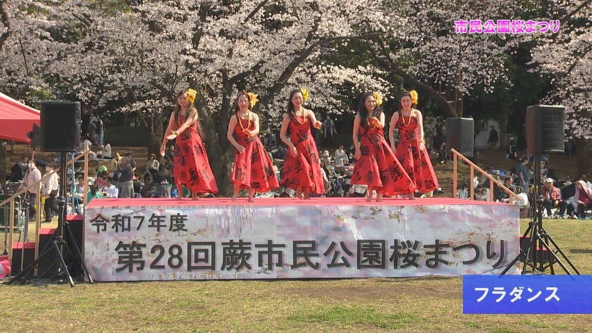 4��17���i���j����́u�n���[���сv�́I�i�e���r�L��u�n���[���сv�j