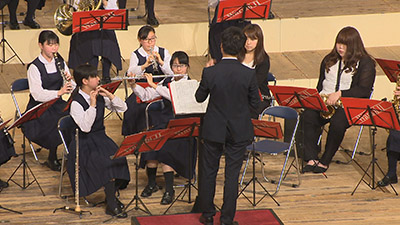 ECNp_CX
