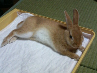 �Ռ�TTYROOM