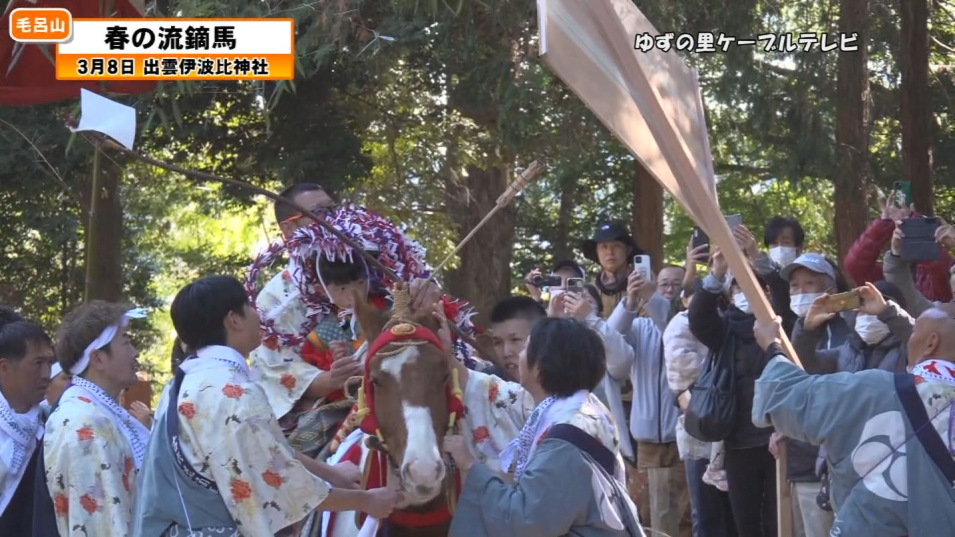 �ʂ̍��P�[�u���e���r����5�����i�ʂ̍��P�[�u���e���r���ǁj